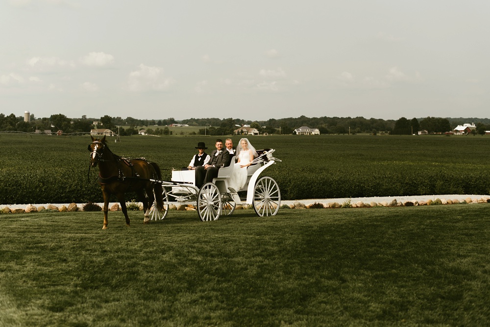 bride and father of bride entering on horse and carriage at j weaver barn wedding