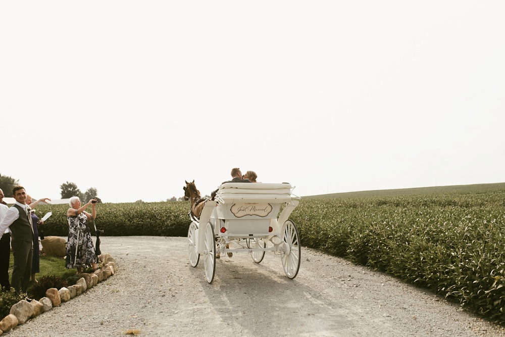 bride and groom on horse drawn carriage at j weaver barn wedding