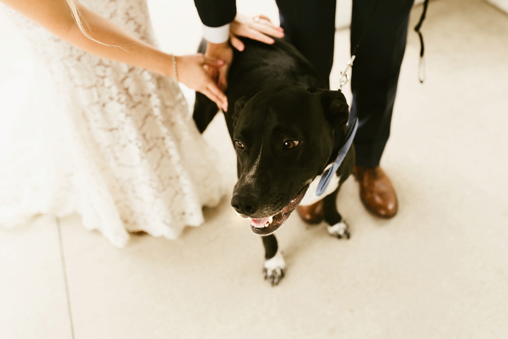 couples dog at pine valley country club wedding