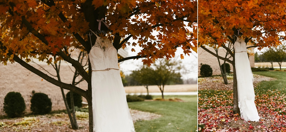 one fine day dress hanging in tree at green bay pamperin park rock garden wedding