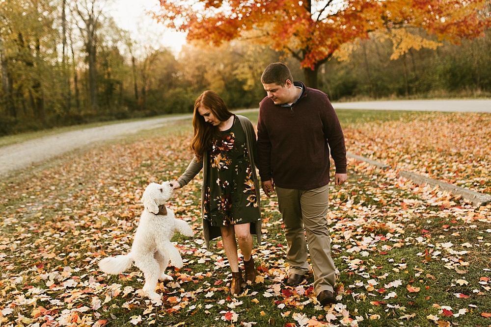 couple playing in leaves with dog at chain o'lakes fall engagement session