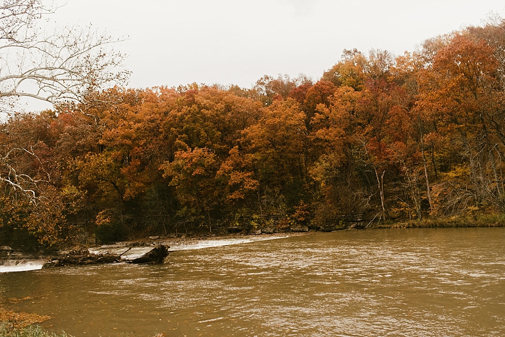 fall leaves at cataract falls fall engagement session
