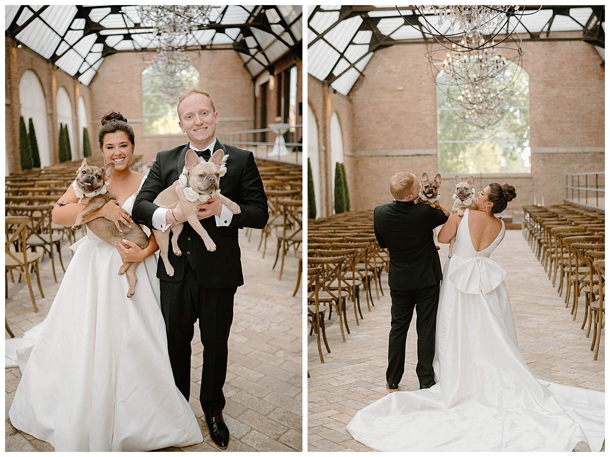 couple holds frenchie puppies by Chicago photographer