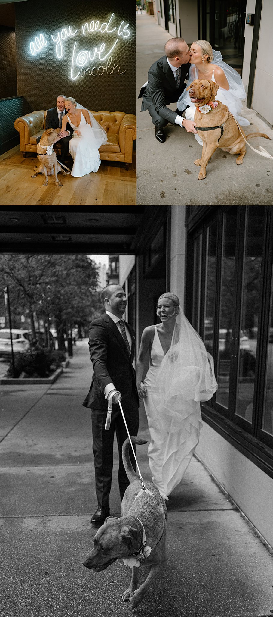 couple goes on a walk around the city with their dog by Chicago wedding photographer