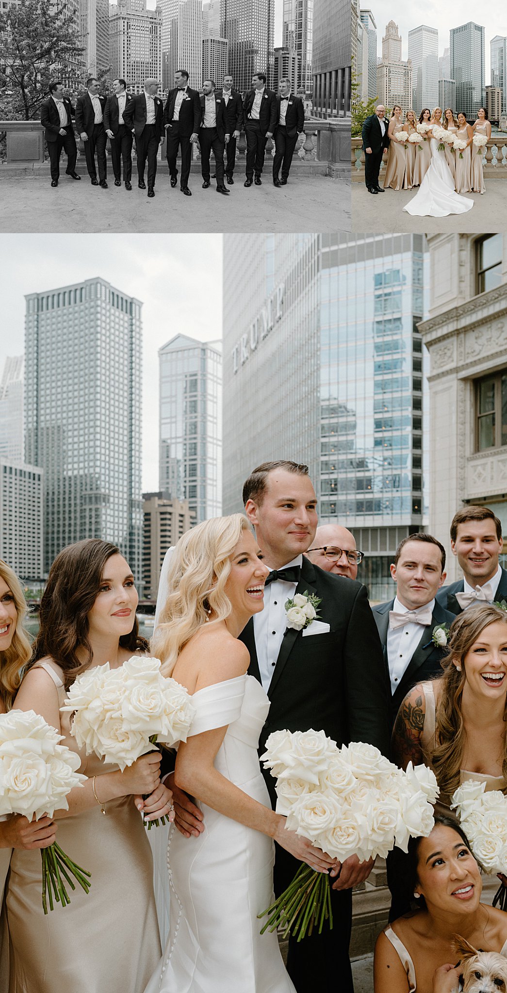 wedding party gathers around the couple by Midwest wedding photographer