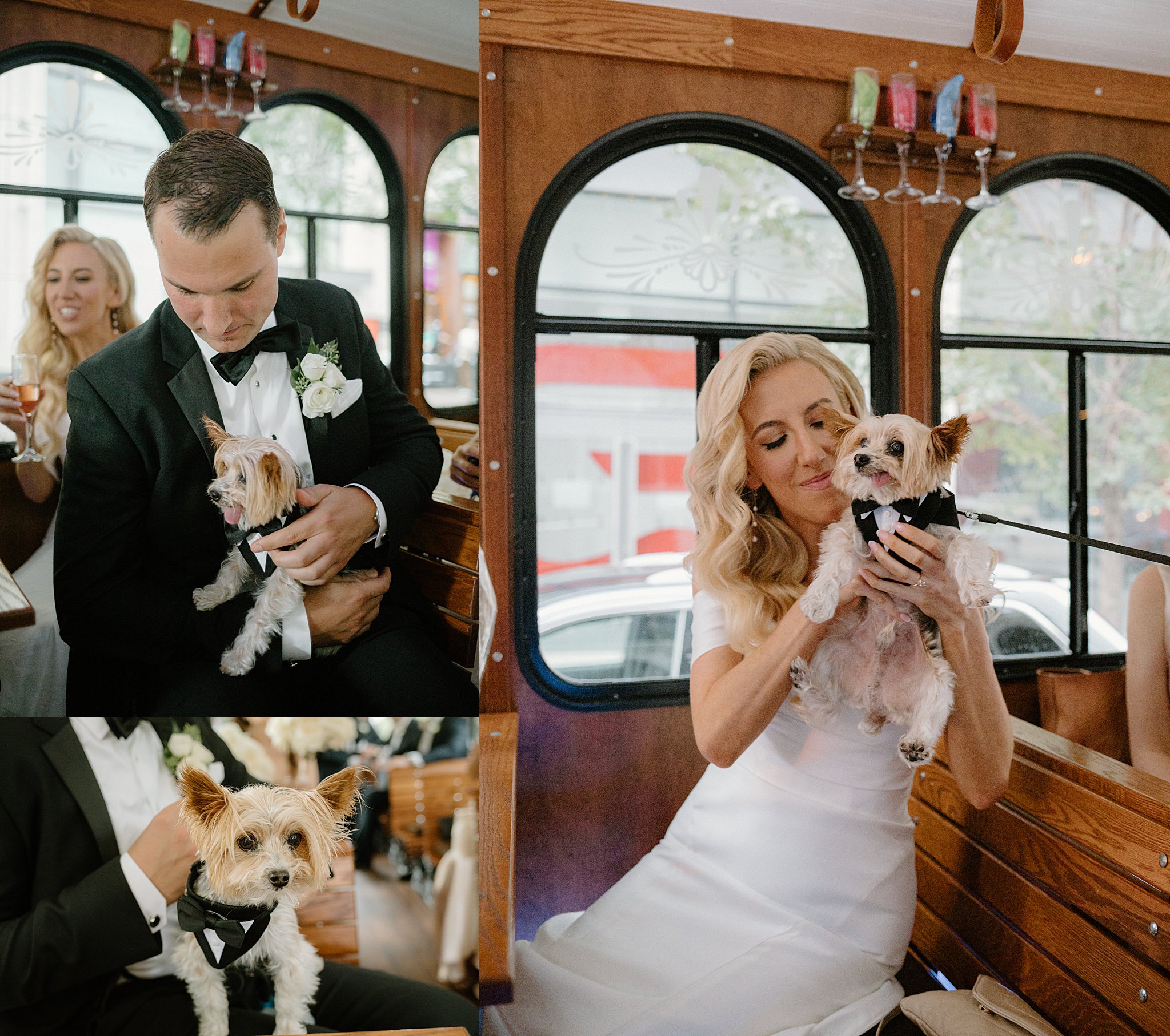 bride and groom are joined by dog in tuxedo on their trolly by Indigo Lace Collective